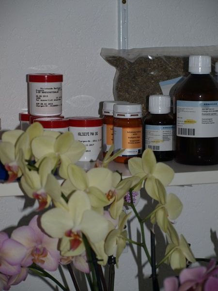Eine Orchidee blüht vor einem Regal mit Medikamentenflaschen und -behältern, einige davon mit roten Deckeln.