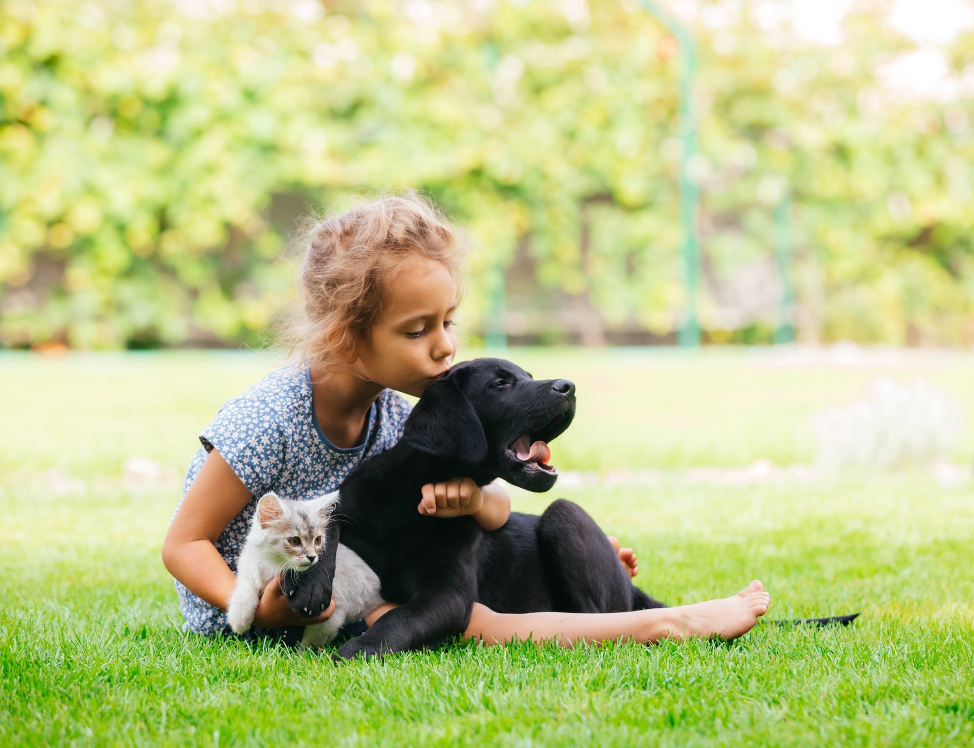 Petite fille assise dans l'herbe avec un chiot et un chaton