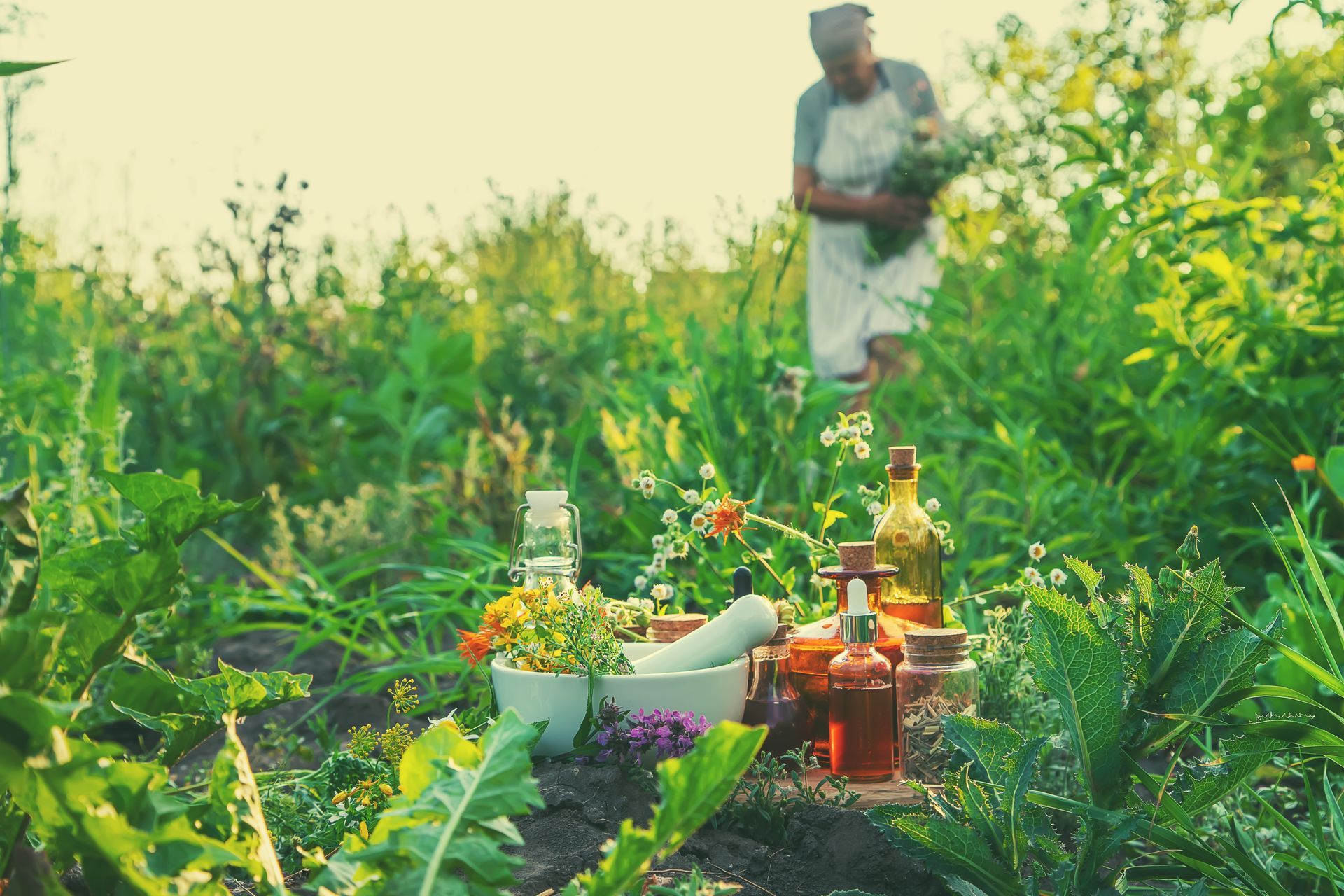 Mortier et pilon entourés de plantes et fioles dans un jardin