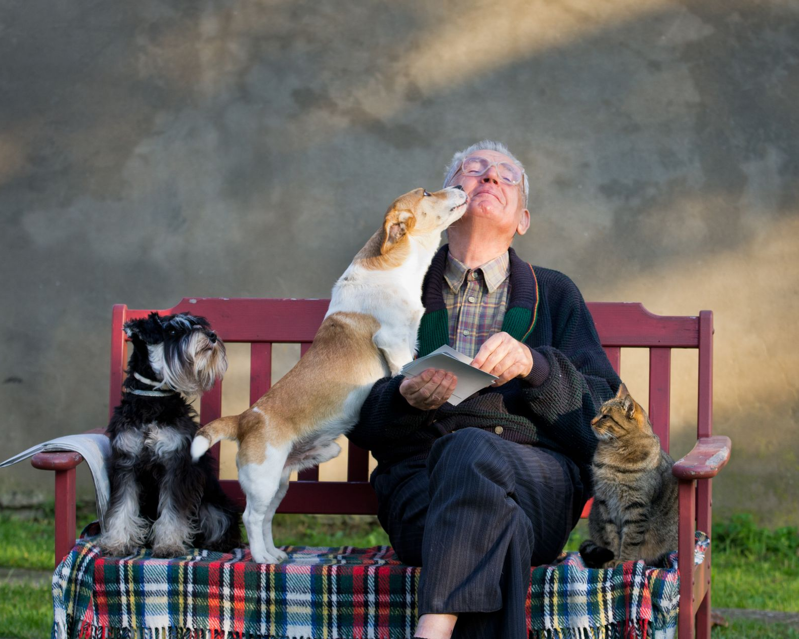 Vieil homme sur un banc avec ses deux chiens et son chat
