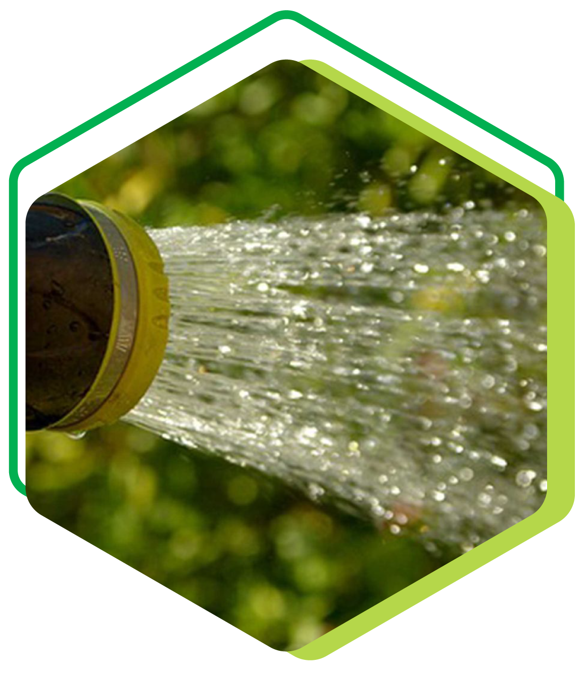 Arrosoir en fonctionnement