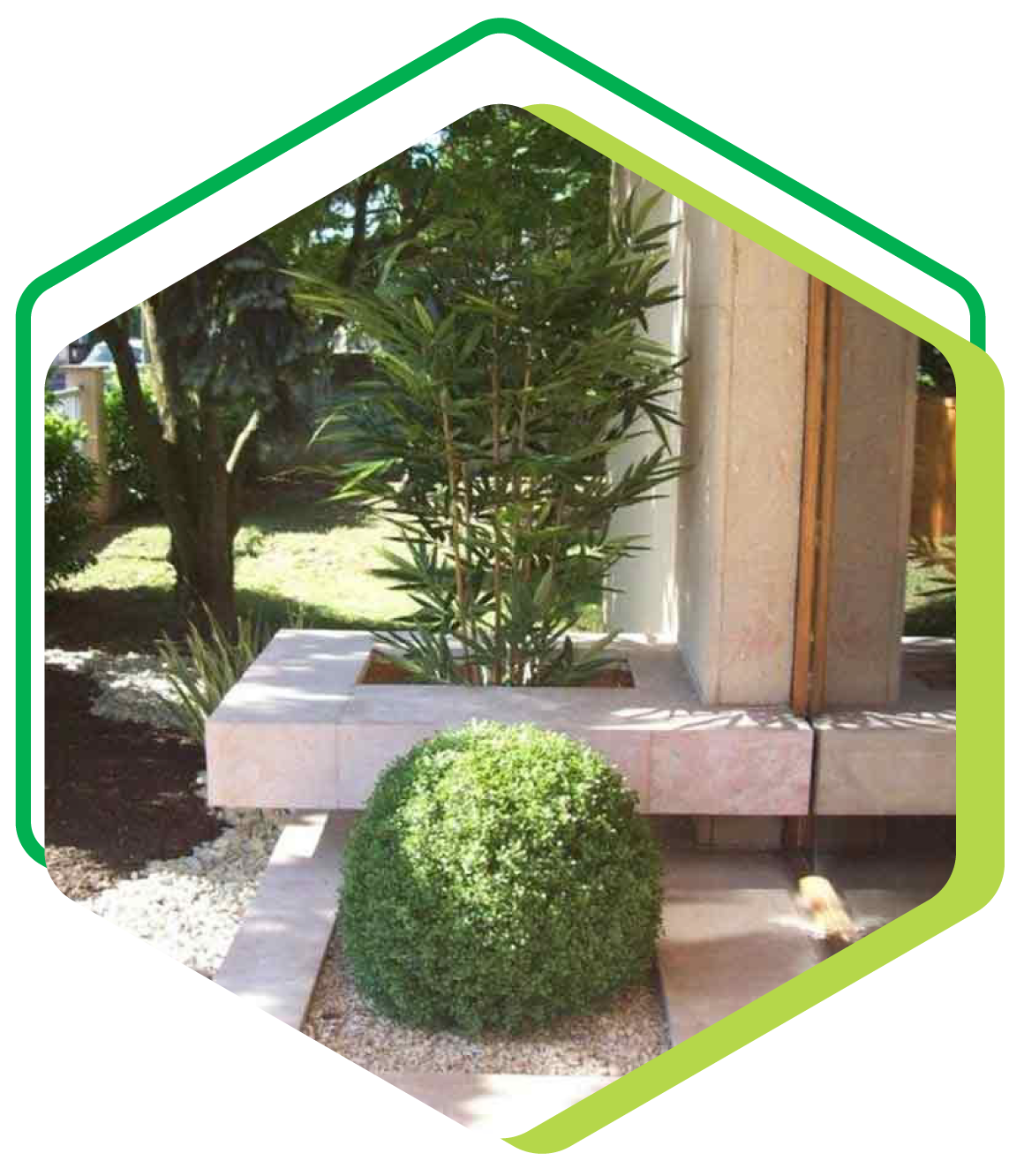 Plantes artificielles à l'extérieur d'un bâtiment