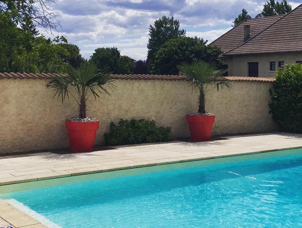 Deux arbres dans des grands pots rouge devant une piscine
