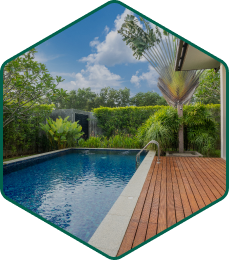 Piscine d'un jardin avec des haies