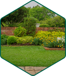 Jardin avec massif floral