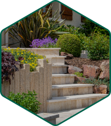 Marches dans un jardin