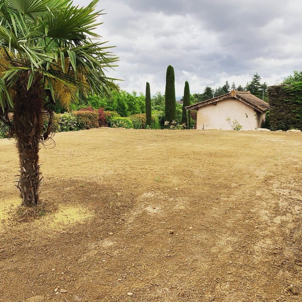 Parterre d'un terrain