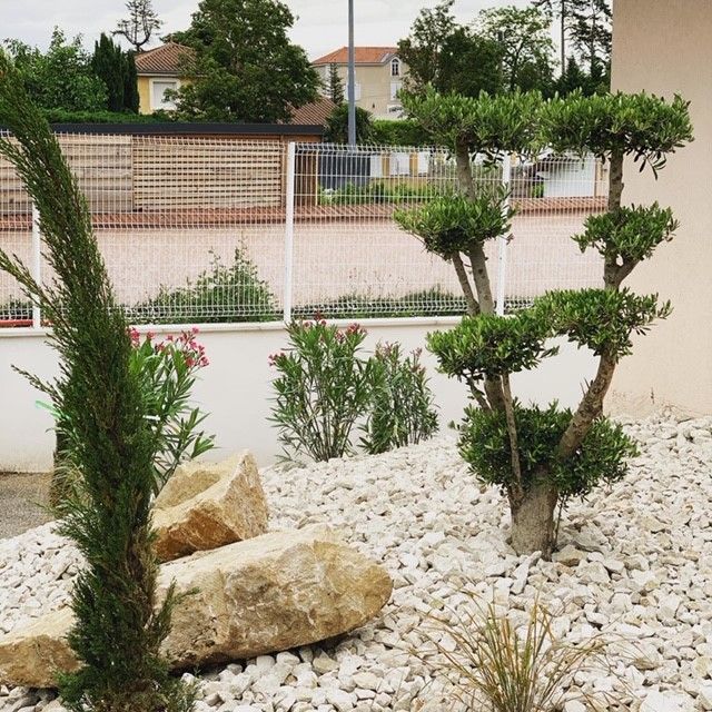 Arbustes sur un terrain de fine pierres blanche