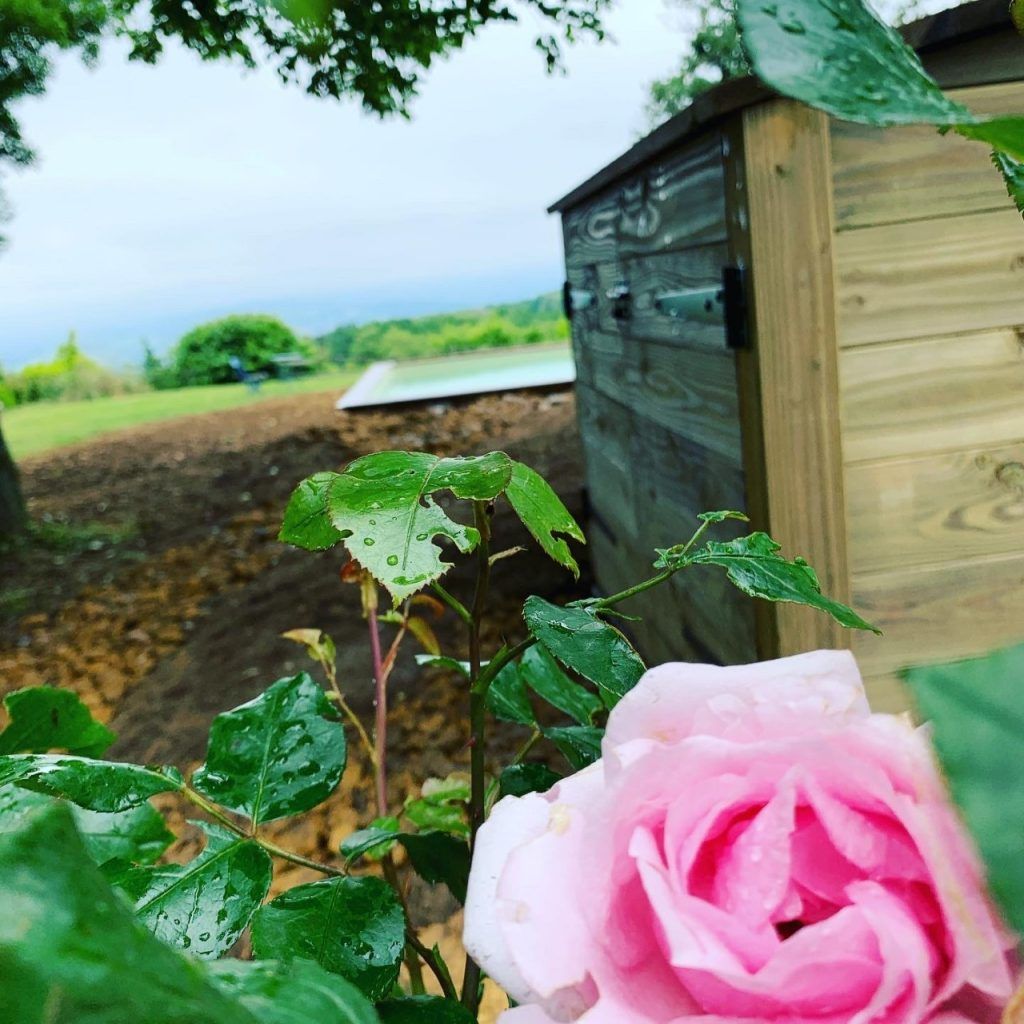 Zoom sur des plantes à proximité d'un caisson en bois