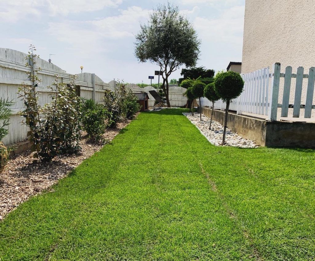 gazon menant vers le fond de la propriété