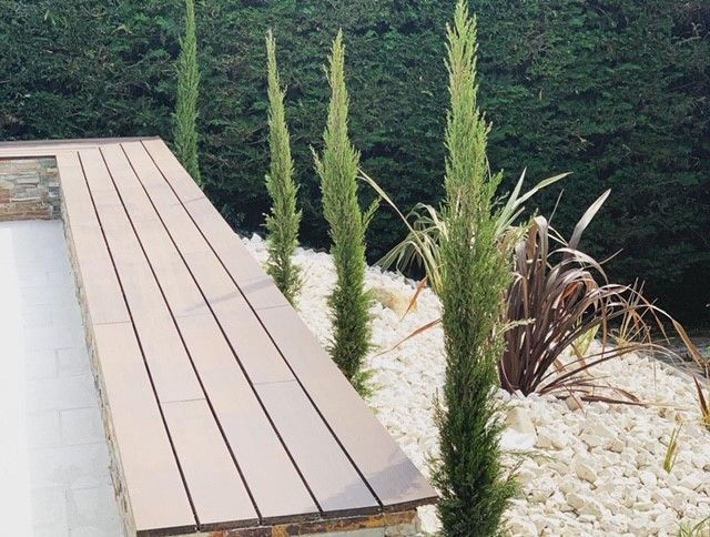 Petits arbustes le long d'un contour de terrasse en bois