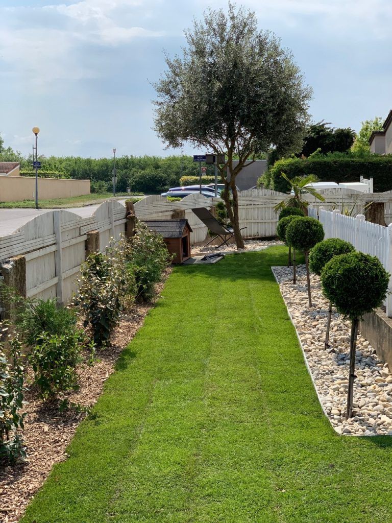 Grand bande de gazon chez un particulier