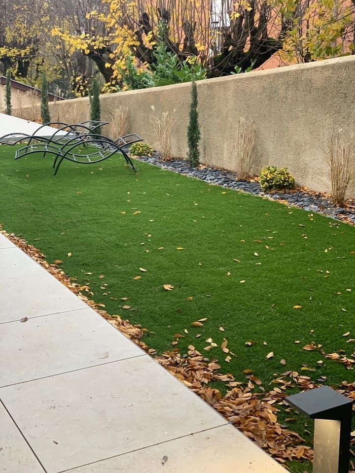 Bande de gazon recouvert d'une fine couche de feuilles morte