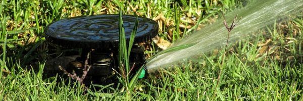 Gros plan sur un arroseur automatique en fonctionnement