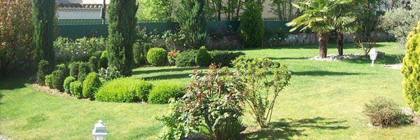 Immense jardin avec arbustes