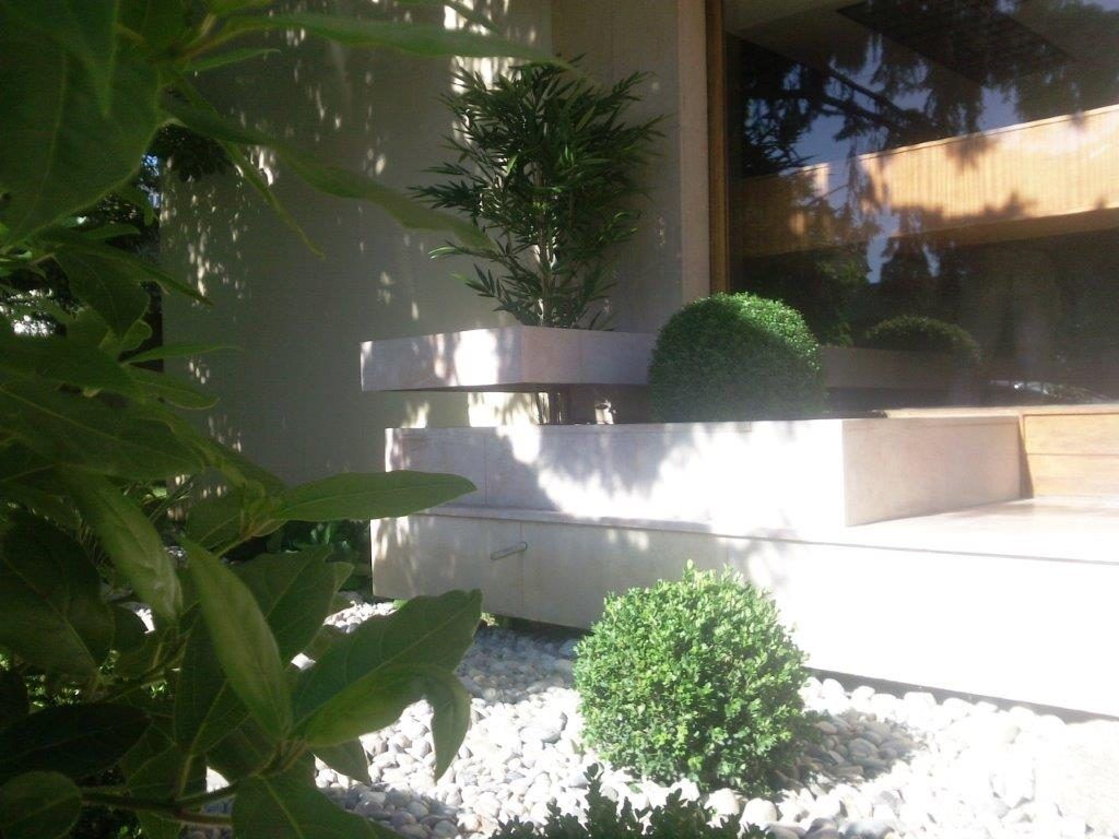 Décoration de petit arbuste de forme sphérique devant une fenêtre