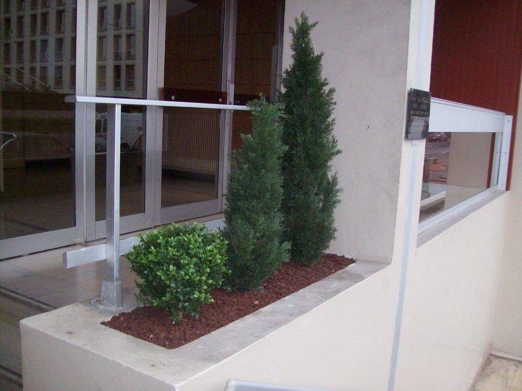 Trois arbustes devant une rampe d'accès