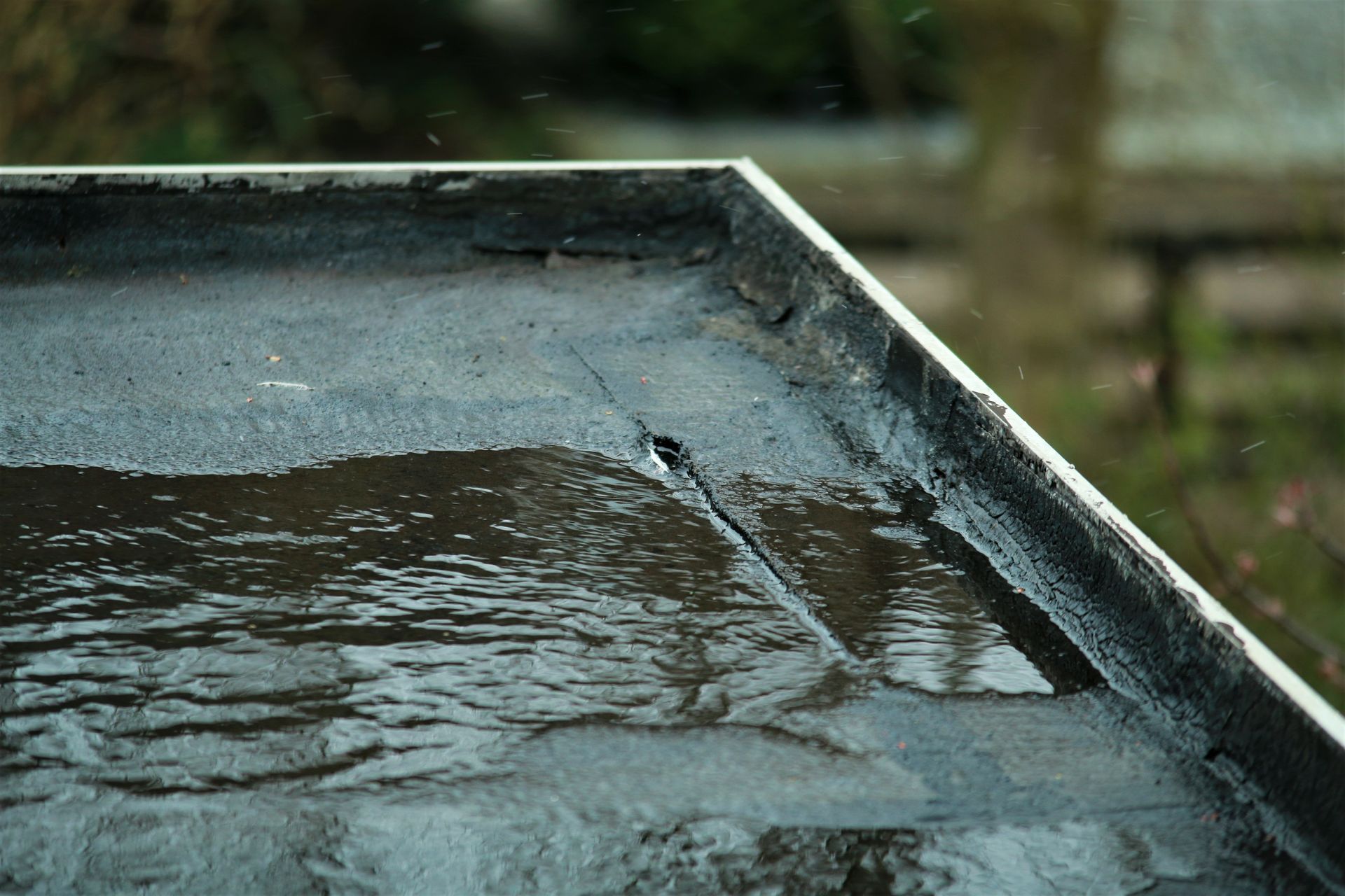 Toit plat fissuré et humide, avec de l'eau stagnante, présentant une fuite visible.