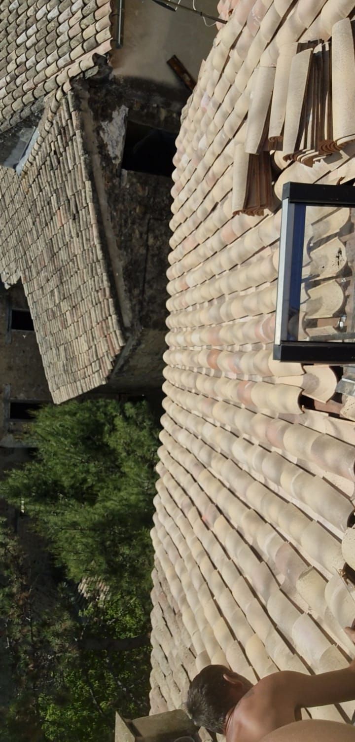 Une personne se tient debout sur un toit de tuiles, à côté d'une échelle.