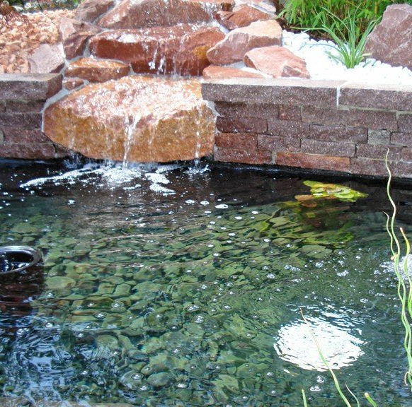Aménagement de bassin d'eau & jardin d'eau