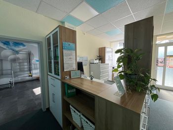 Empfangstresen in einer hellen Bürolobby mit Pflanze, Schränken und Glastür.