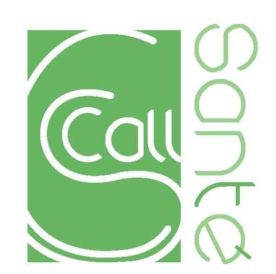 Logo Petit.JPG