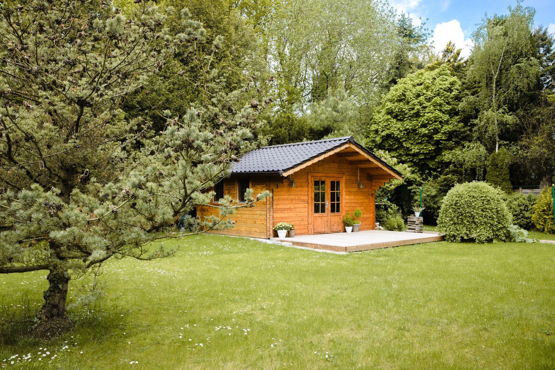 Abri de jardin en bois traité