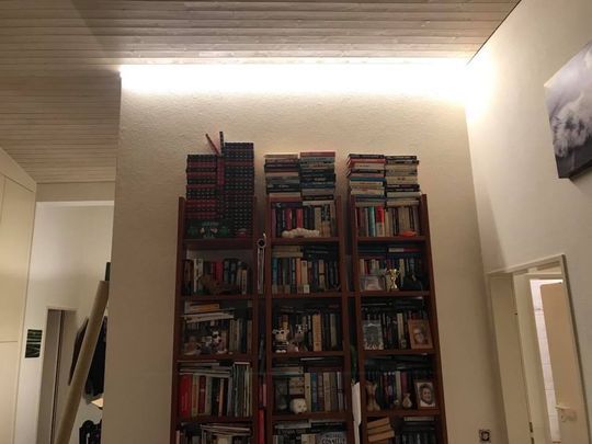 Beleuchtung Bücherregal – Lotti & Ci. SA
