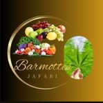 Kiosque & Épicerie des Barmottes Jafari logo