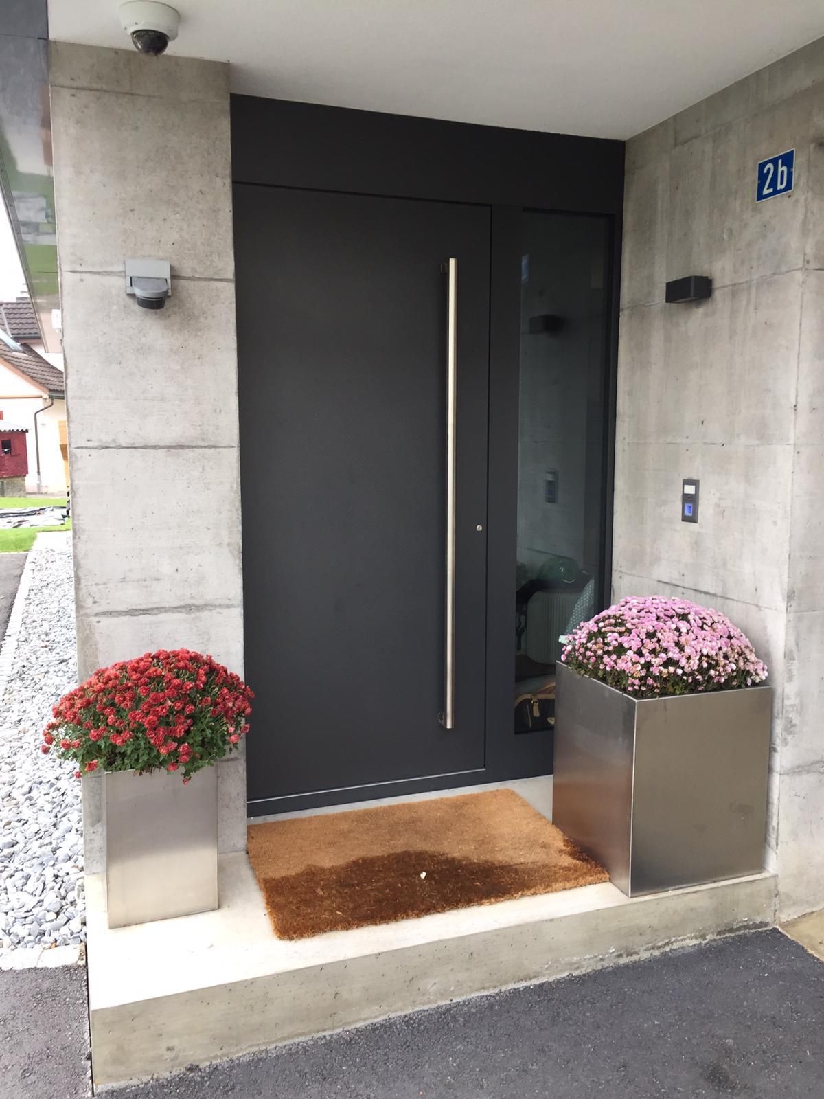 Moderne schwarze Haustür mit Topfblumen am Hauseingang