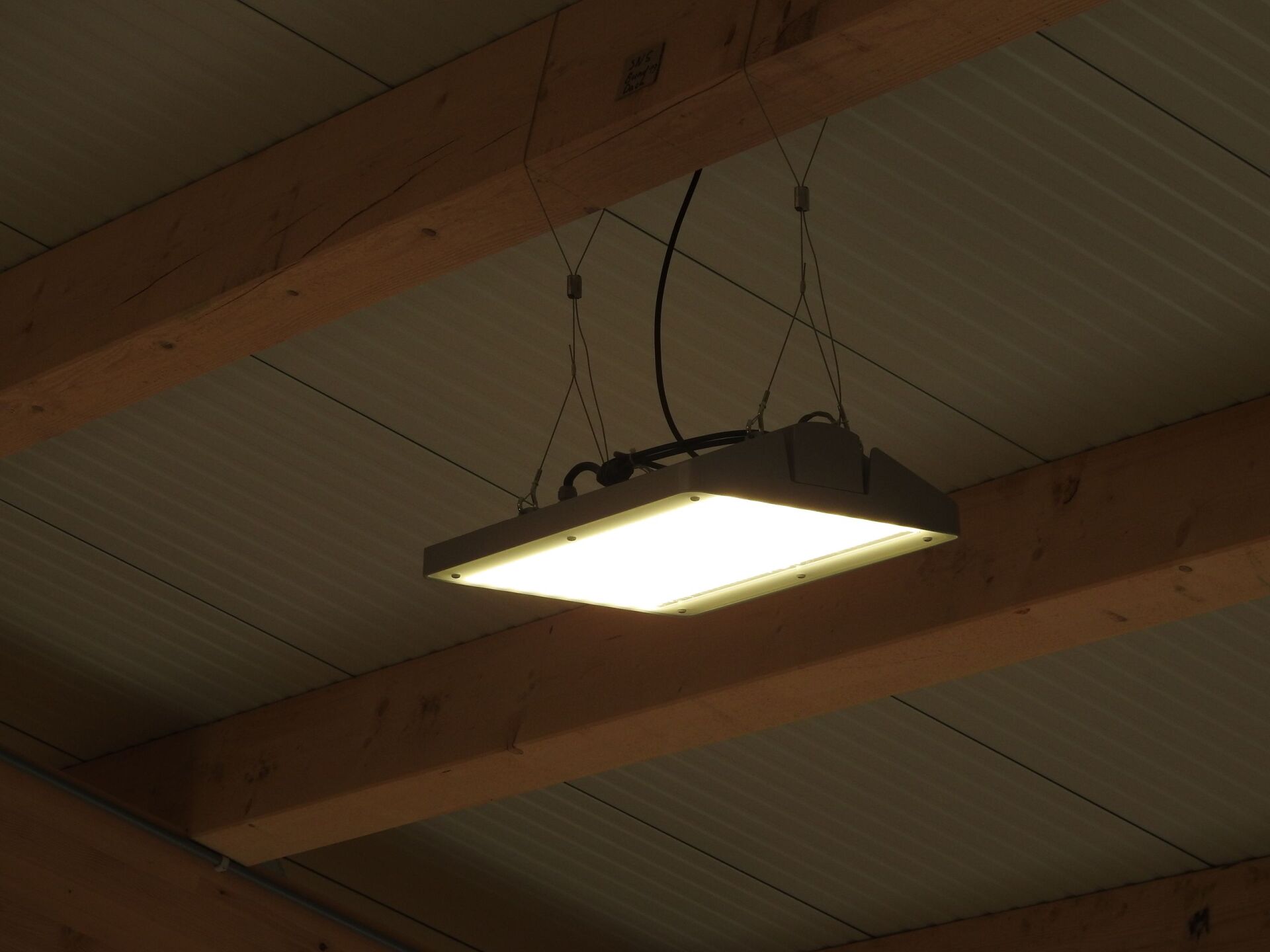 Hallenstrahler im Stall