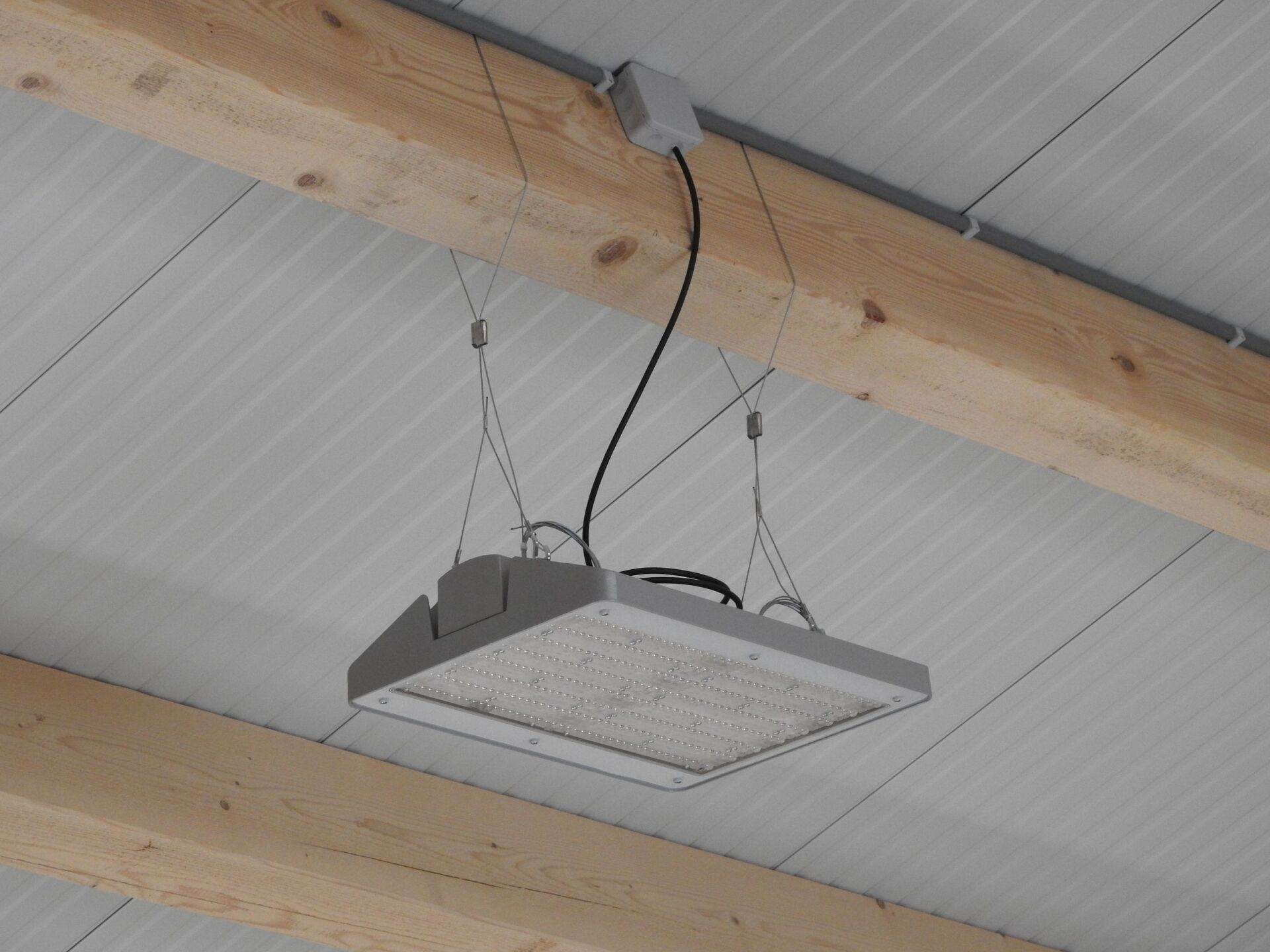 Hallenstrahler im Stall