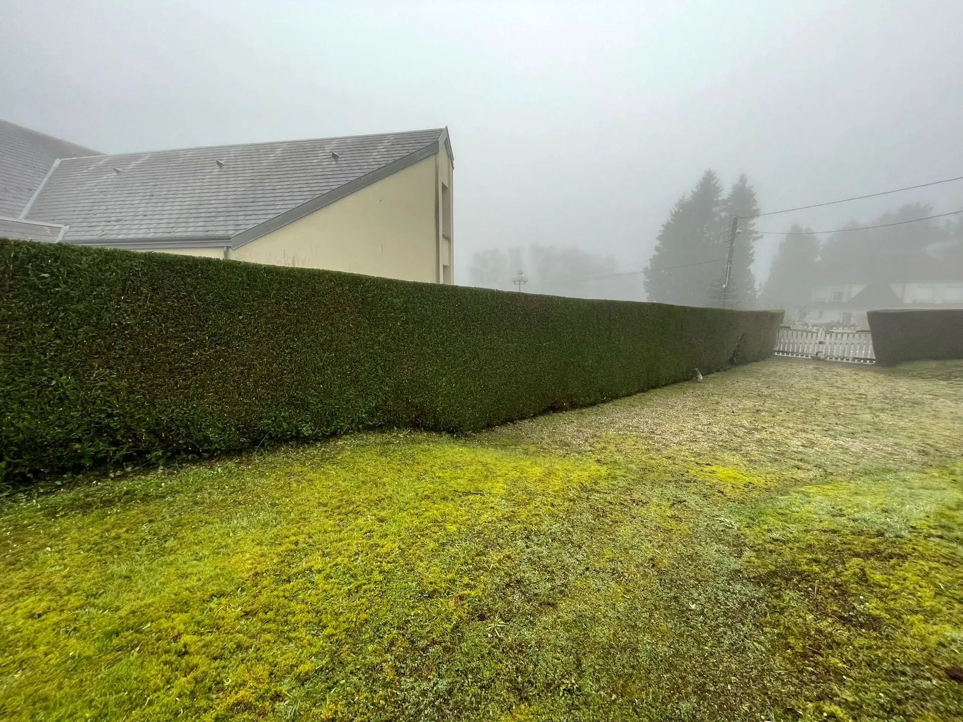 Tonte chez un particulier