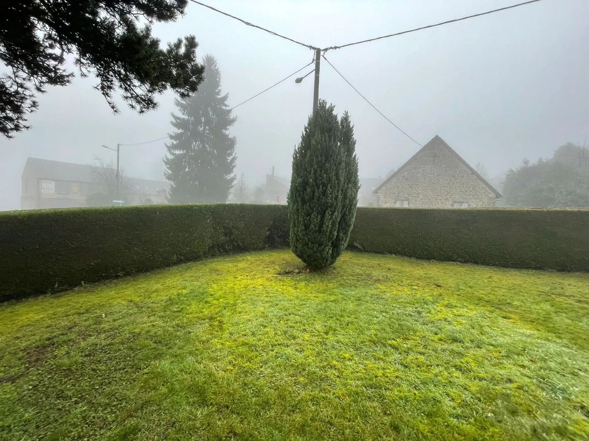 Tonte faite chez un particulier