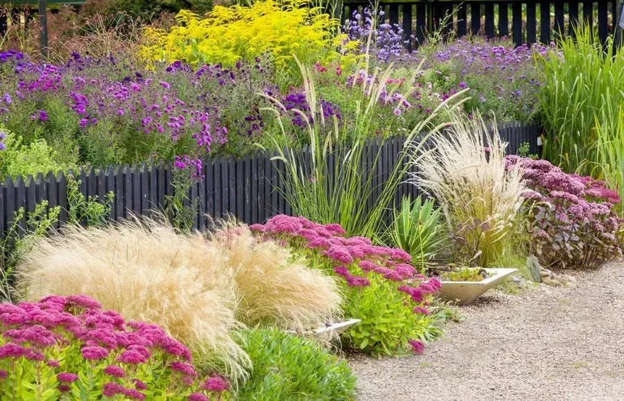 Focus sur création paysagère orientée écoresponsable