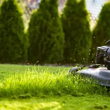 Una persona está cortando un césped verde y exuberante con una cortadora de césped.