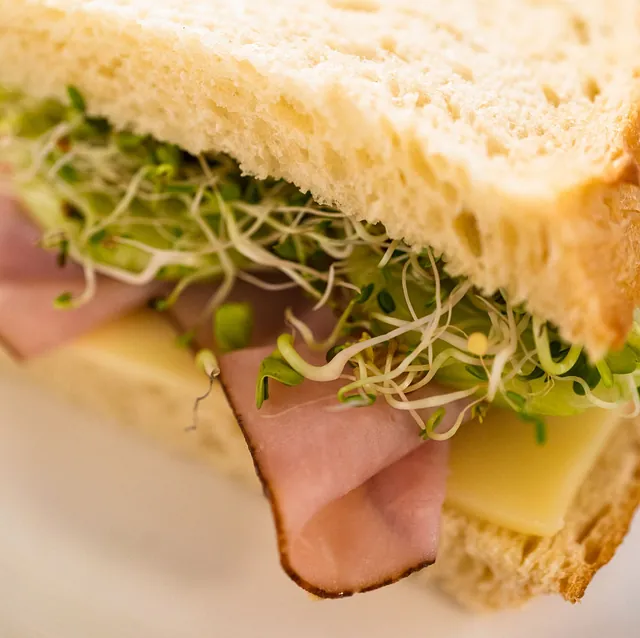 Un sándwich con jamón, queso y brotes en un plato blanco.