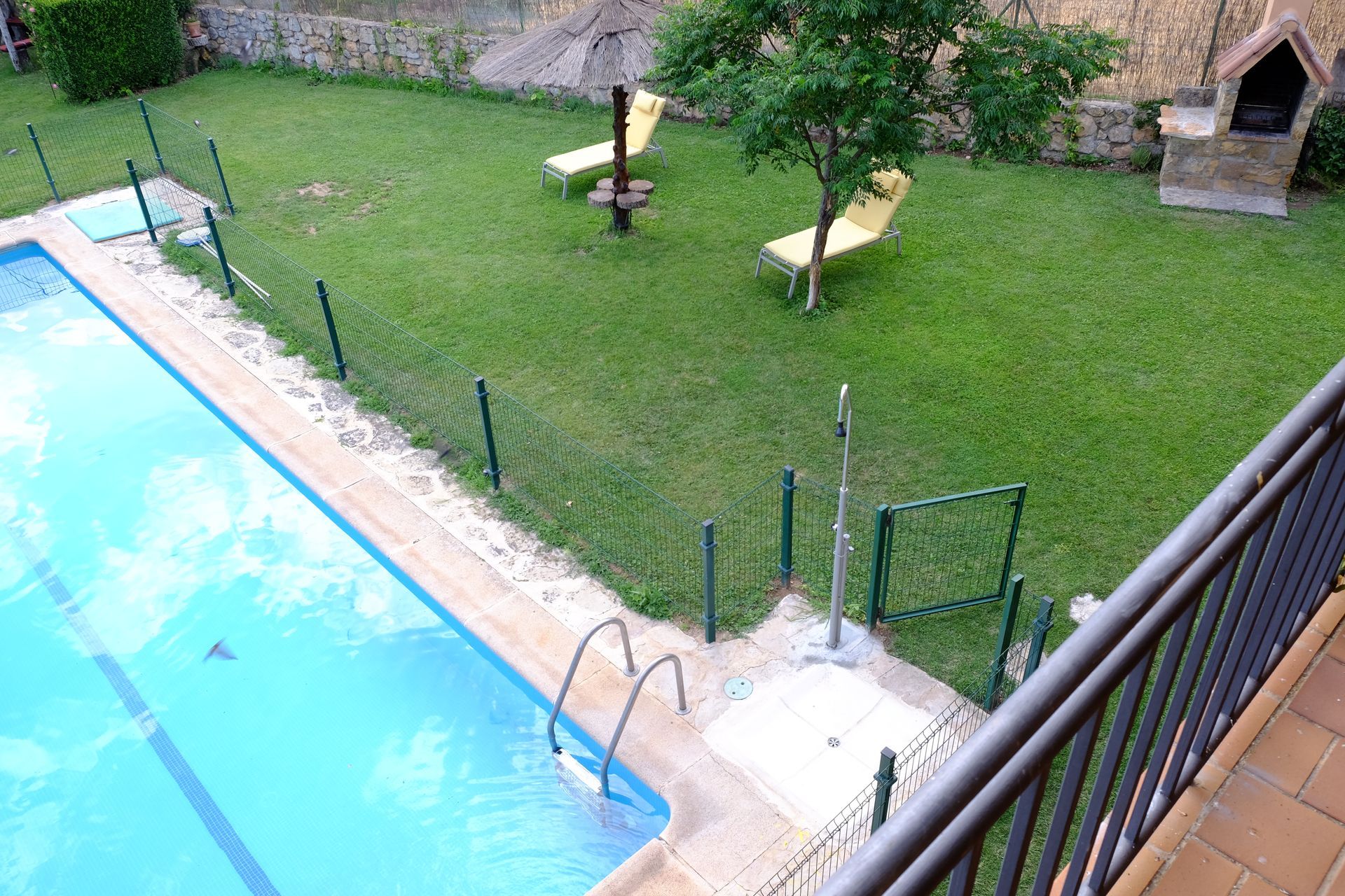 Piscina junto a un césped con tumbonas y un pequeño árbol, vista desde un balcón.