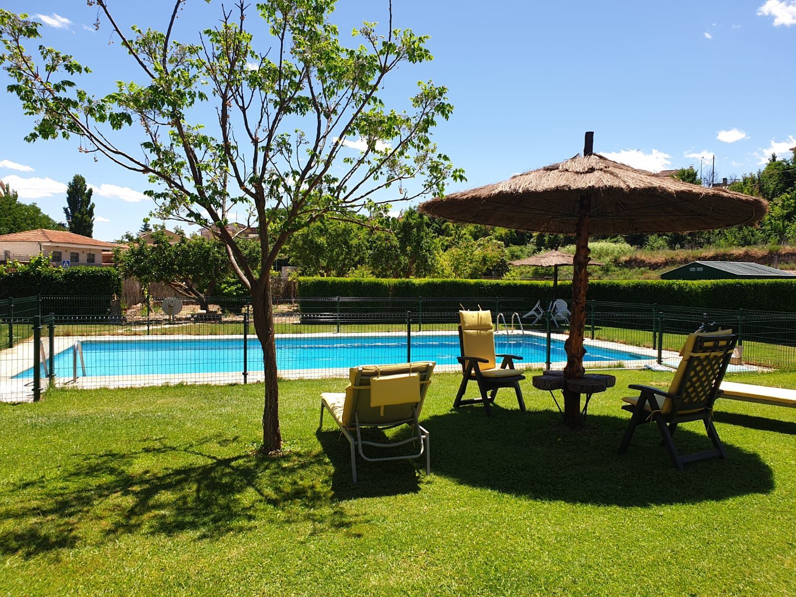 Piscina con tumbonas y sombrillas sobre un césped verde, bajo un cielo soleado.
