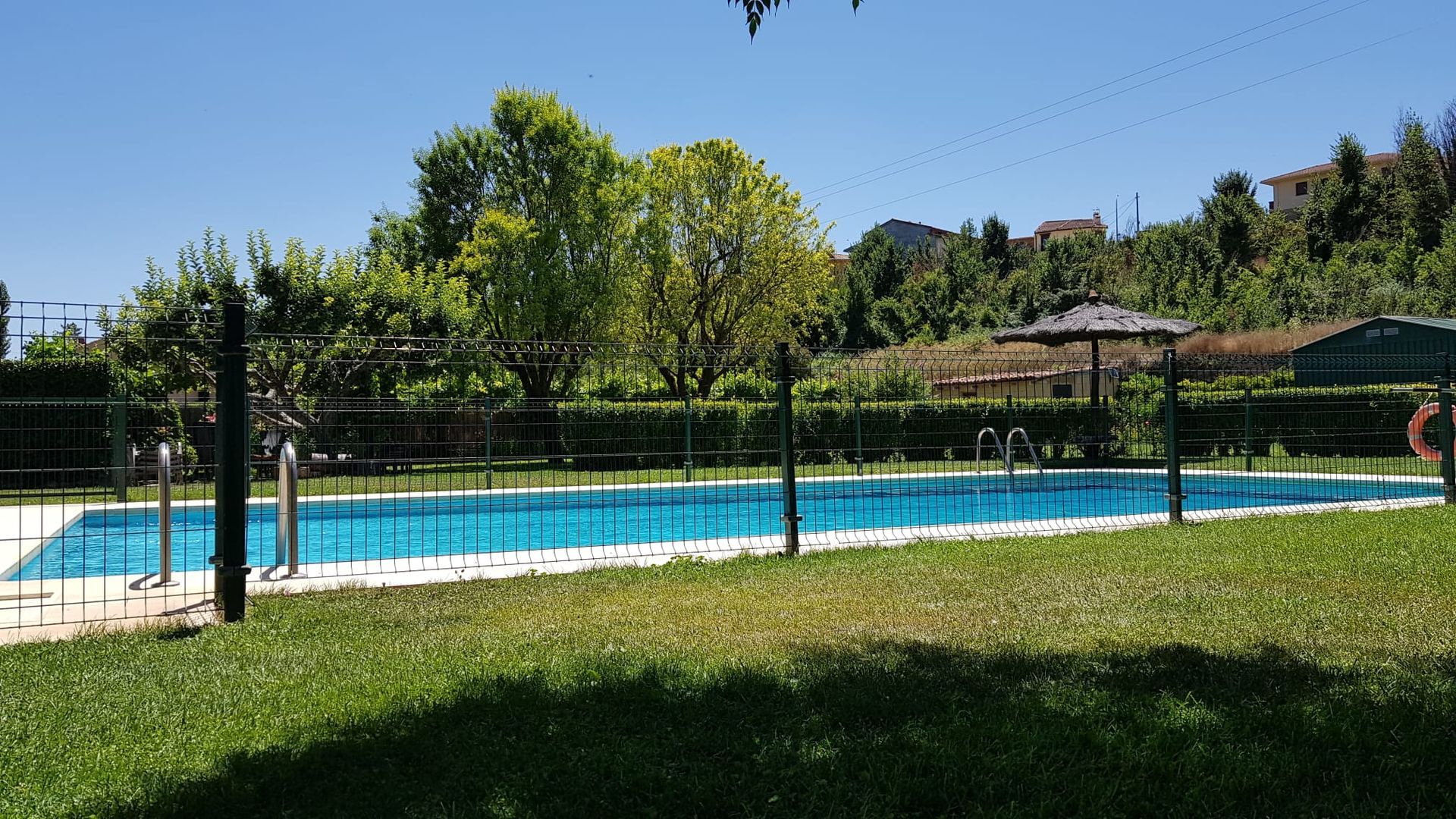 Piscina con agua azul rodeada de césped verde y una valla negra en un día soleado.