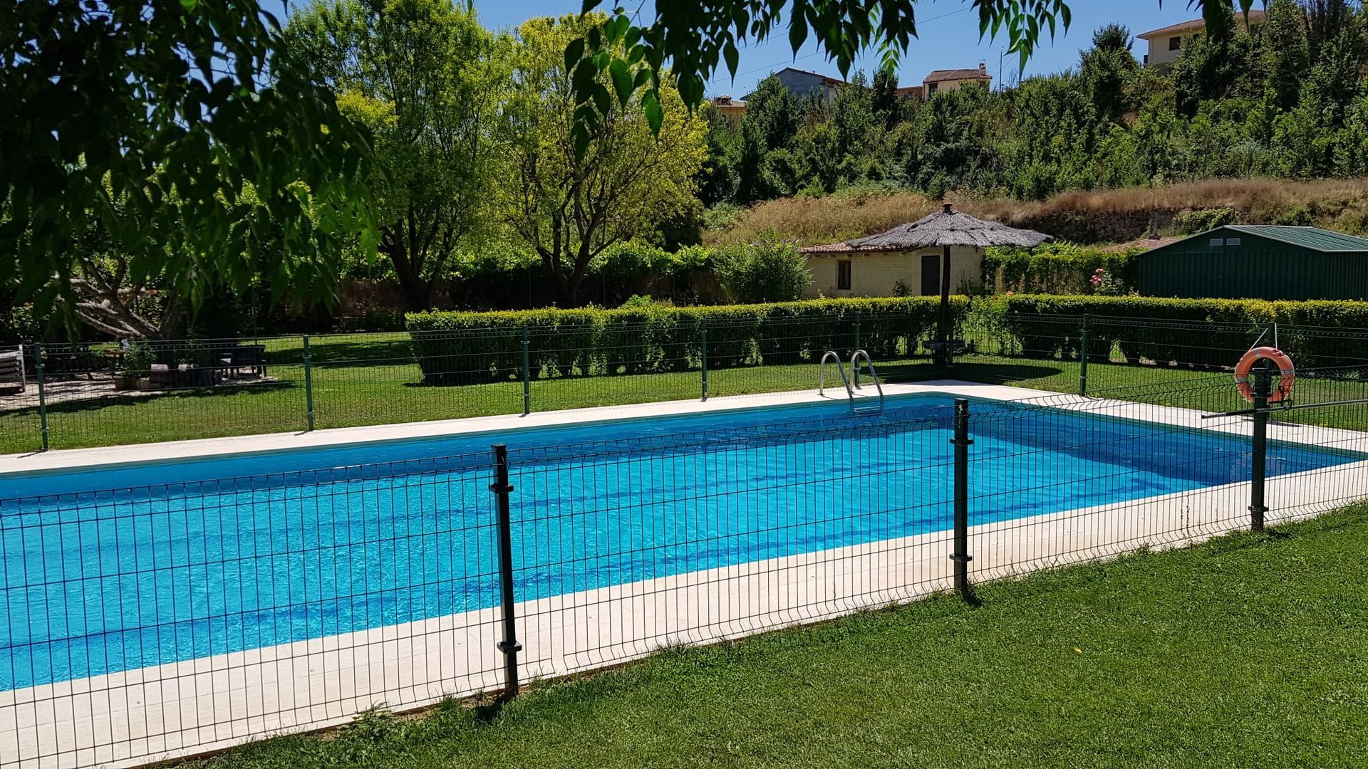 Piscina con interior azul, rodeada de valla y césped, con árboles al fondo.