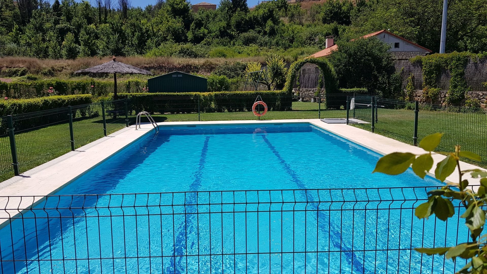 Piscina rodeada de césped verde y árboles, con un salvavidas en el medio.