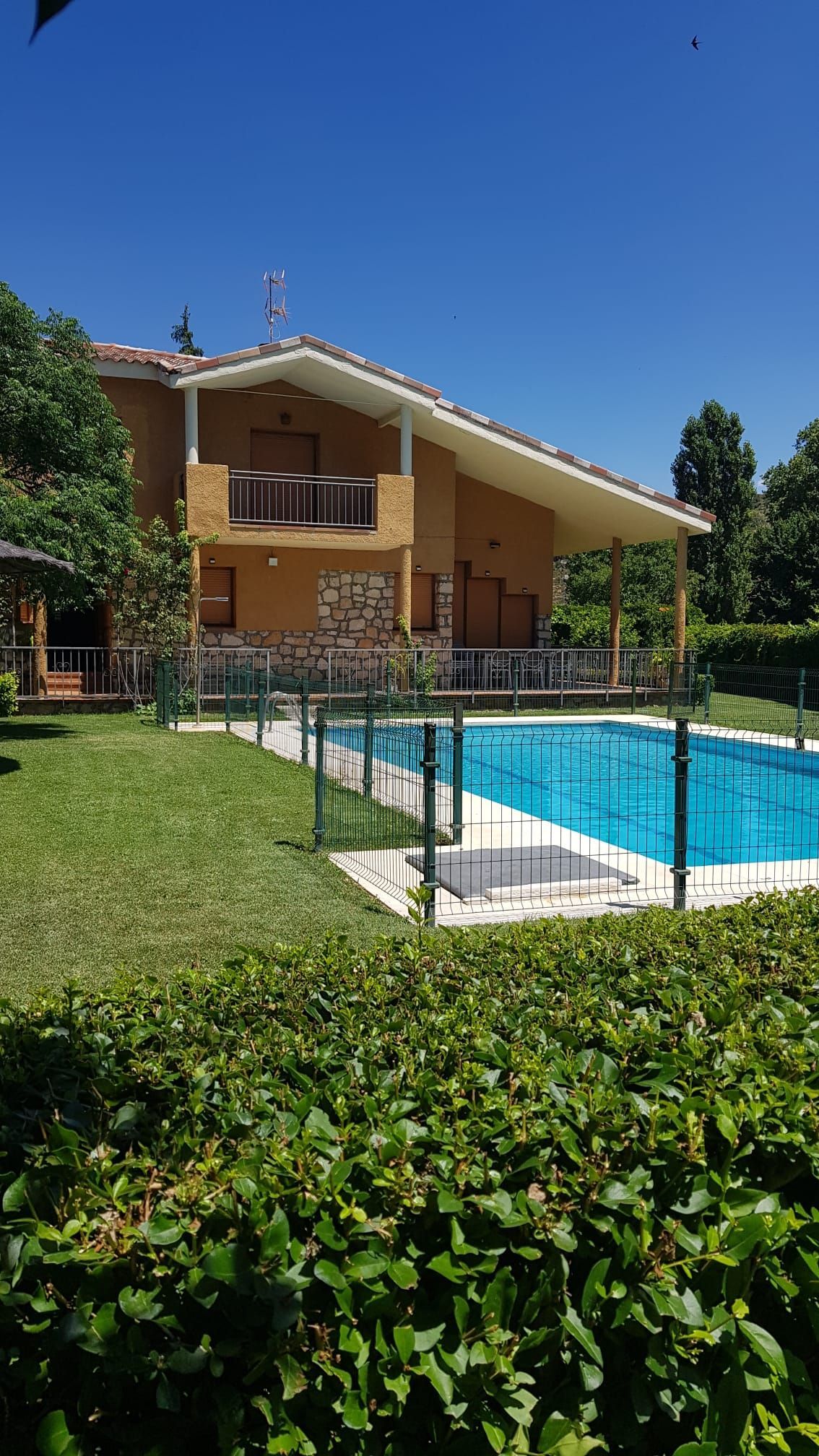Casa con piscina en un entorno soleado. Césped exuberante y arbustos en primer plano.