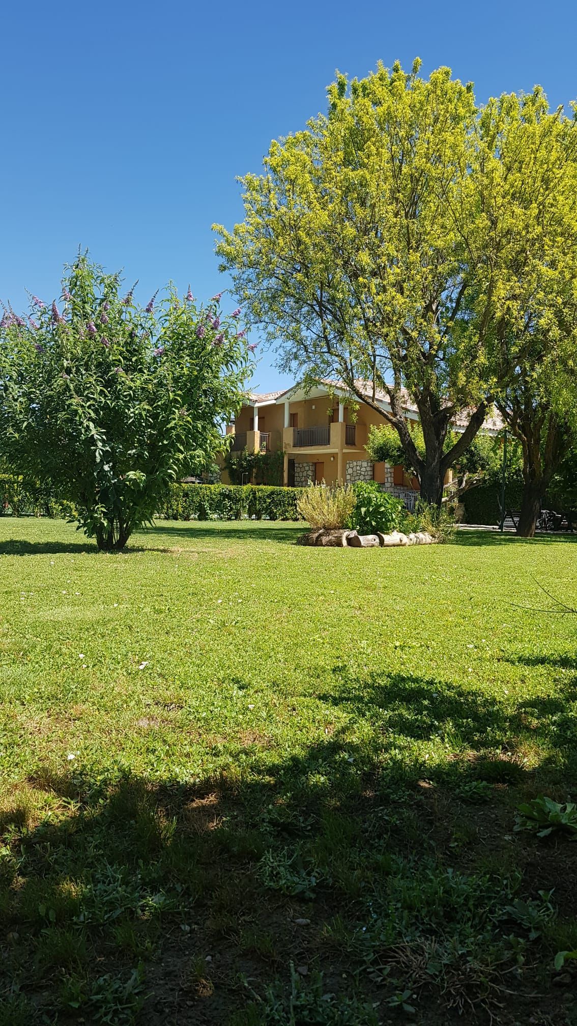 Un patio cubierto de hierba con árboles, flores y una casa beige de dos pisos bajo un cielo azul claro.