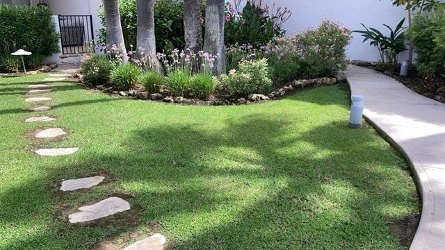 Césped verde exuberante con camino de piedra y pasarela de hormigón curvada, bordeado de plantas y árboles, entorno soleado al aire libre.