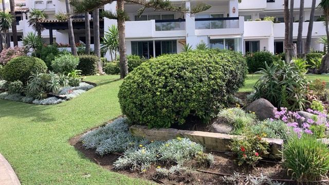 Exuberante paisaje verde con arbustos podados y diversas plantas frente al edificio blanco.
