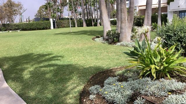 Césped verde con árboles y un parterre delante de un edificio.