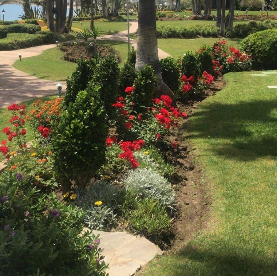 Jardín bien cuidado con arbustos verdes, flores rojas y camino de piedra gris, césped verde exuberante y árboles en el fondo.