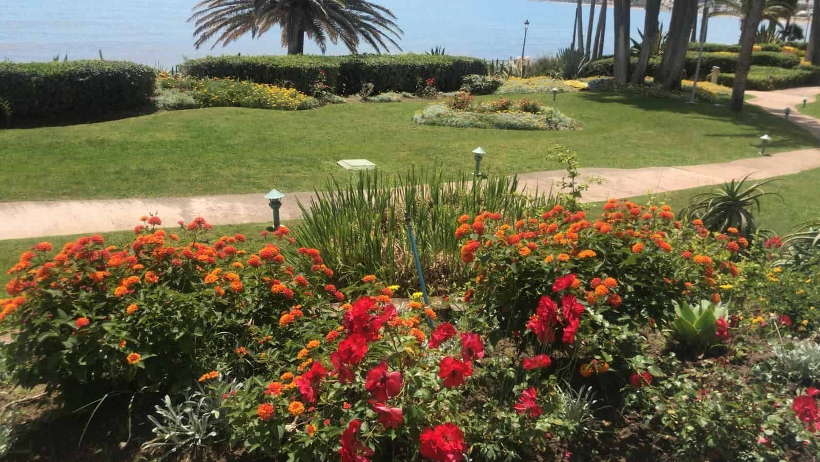 Jardín con flores de colores, césped verde y árboles cerca del océano.