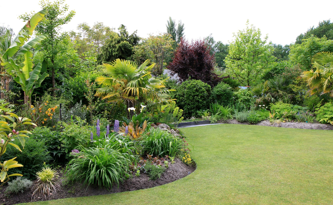 Jardin verdoyant et luxuriant avec des plantes diverses entourant une pelouse soigneusement taillée.